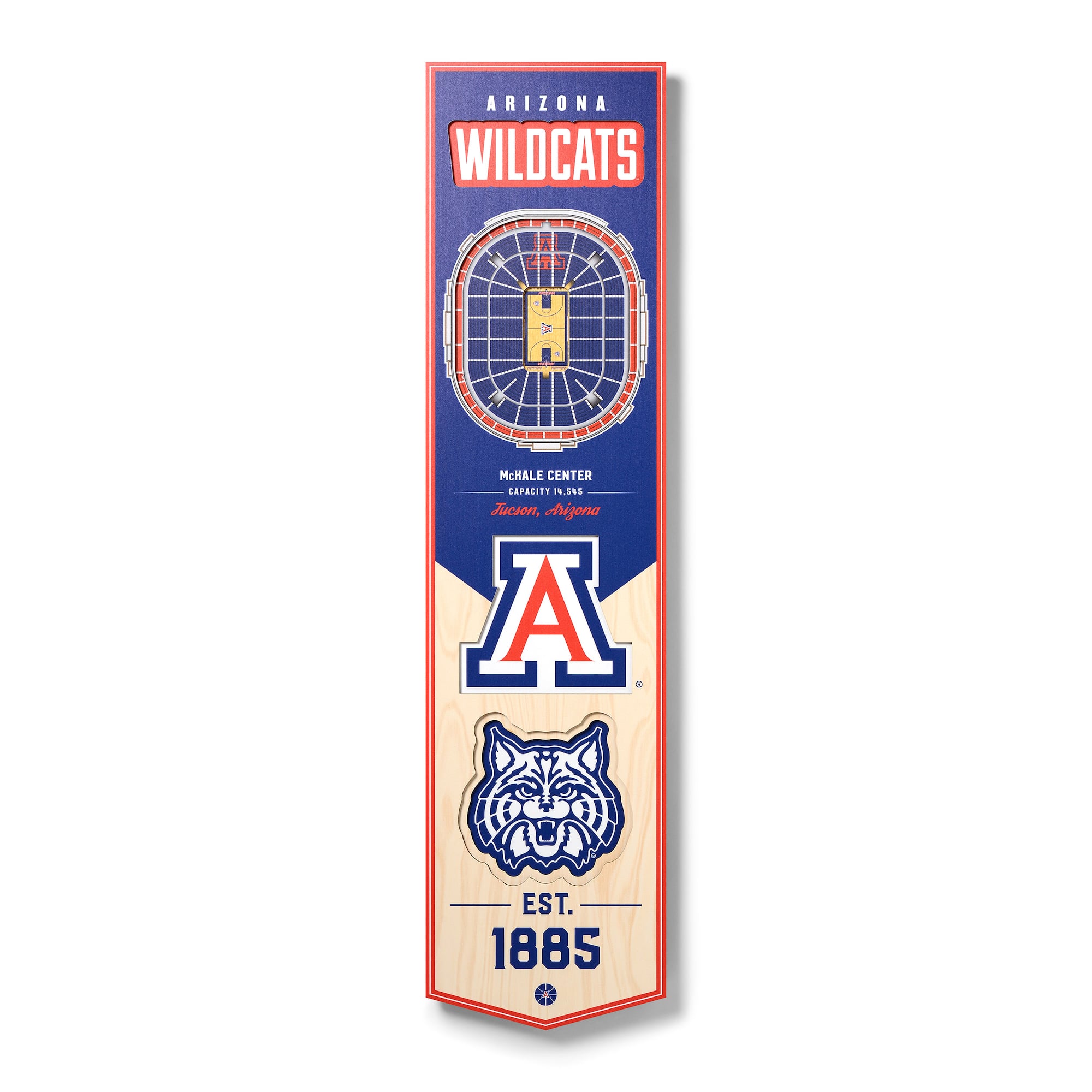College 3D StadiumView Banner